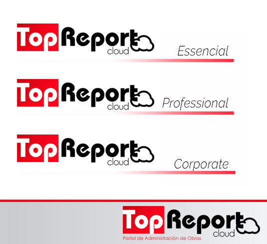 Versiones Top Report